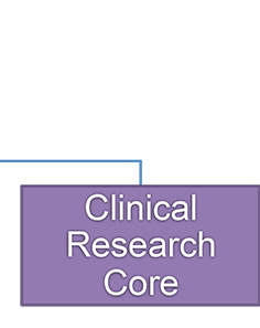 Clinical Research Core